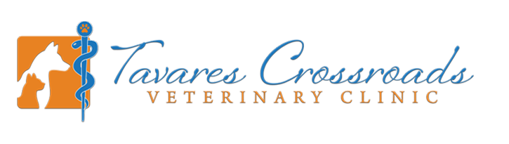 Tavares Crossroads Veterinary Clinic